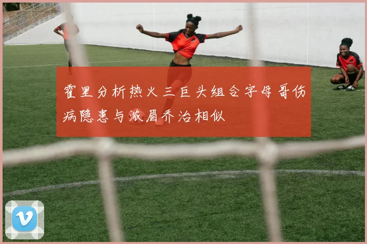 霍里分析热火三巨头组合字母哥伤病隐患与浓眉乔治相似