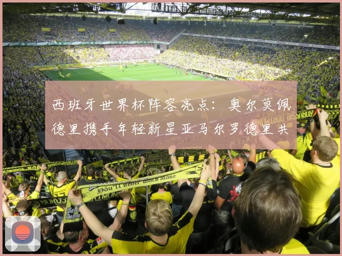 西班牙世界杯阵容亮点：奥尔莫佩德里携手年轻新星亚马尔罗德里共赴荣耀之战